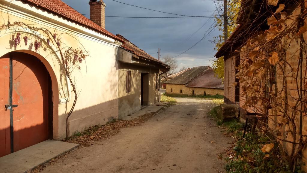 Country House Dunjin Konak Rogljevo Kültér fotó