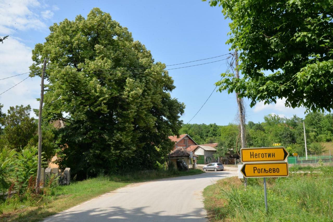Country House Dunjin Konak Rogljevo Kültér fotó