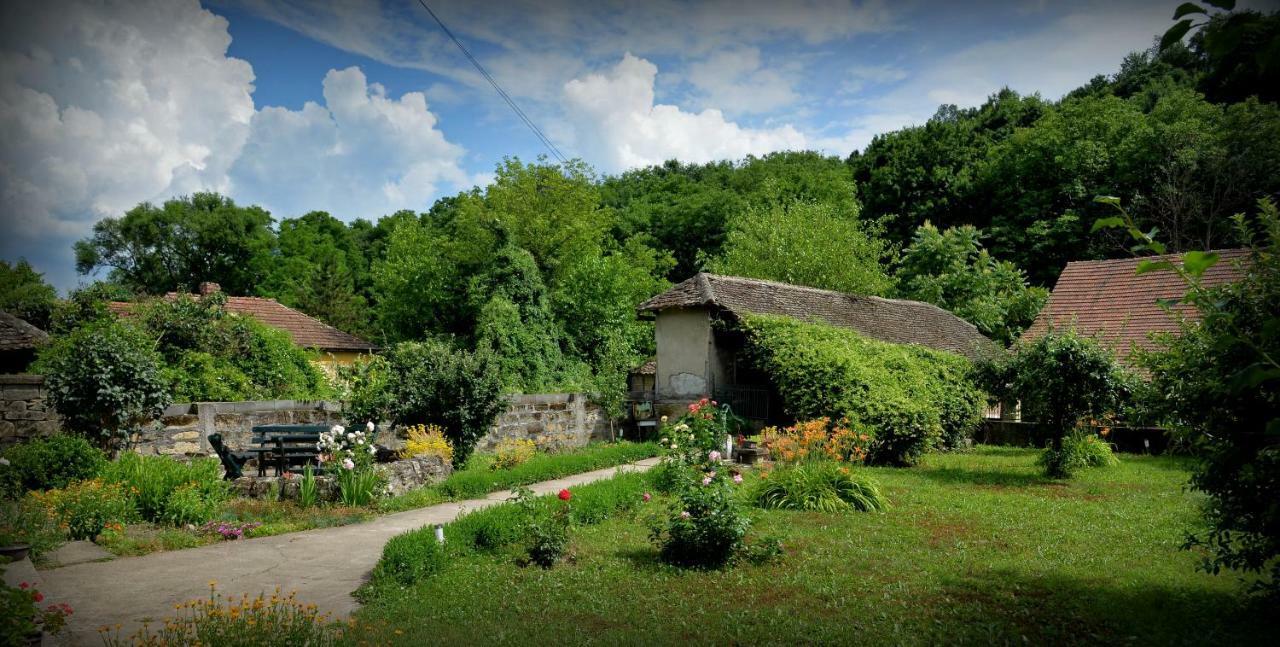 Country House Dunjin Konak Rogljevo Kültér fotó